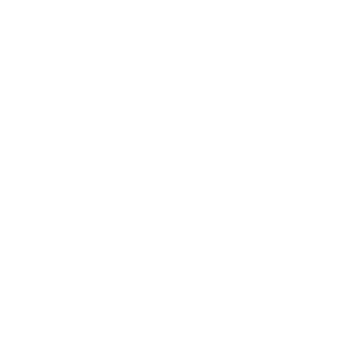 logo-team-WG